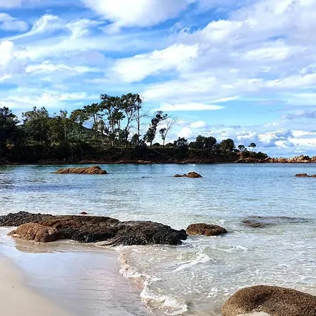 Grand T2 Cours Napoleon A アパート *