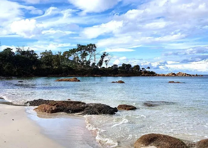 Grand T2 Cours Napoleon A Lägenhet *